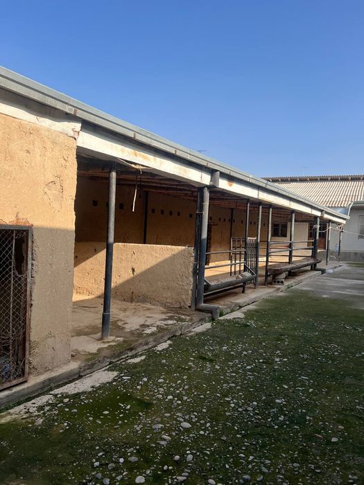 Келес кук терак шинамгина бизнес уч