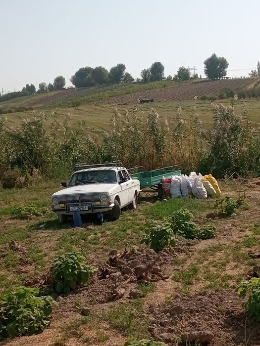 Волга 2401 пресип билан