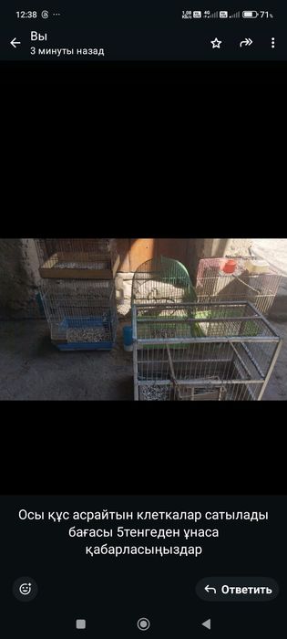 Құс салатын сетка сатылады 5мыңнан ұнағанын көріңдер