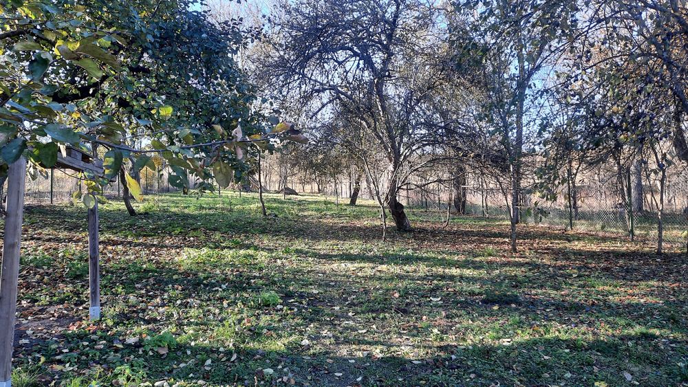 Casă de vânzare la țară – Făureni, comuna Vultureni