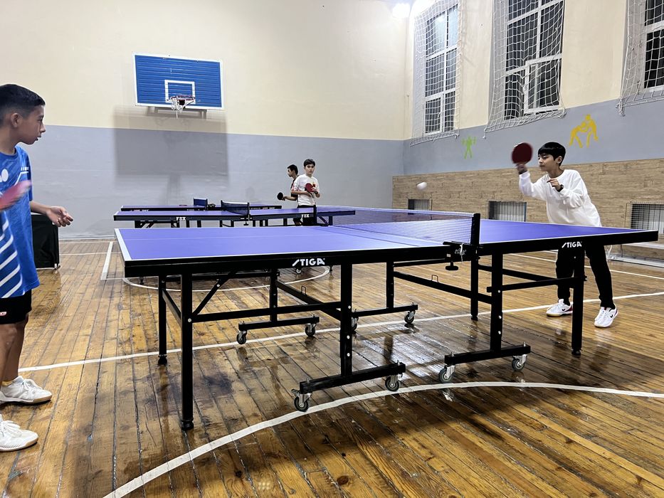 Профессиональные теннисные столы