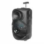 Караоке тонколона,ZQS 12106S