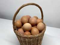 Ouă de casă  de vânzare