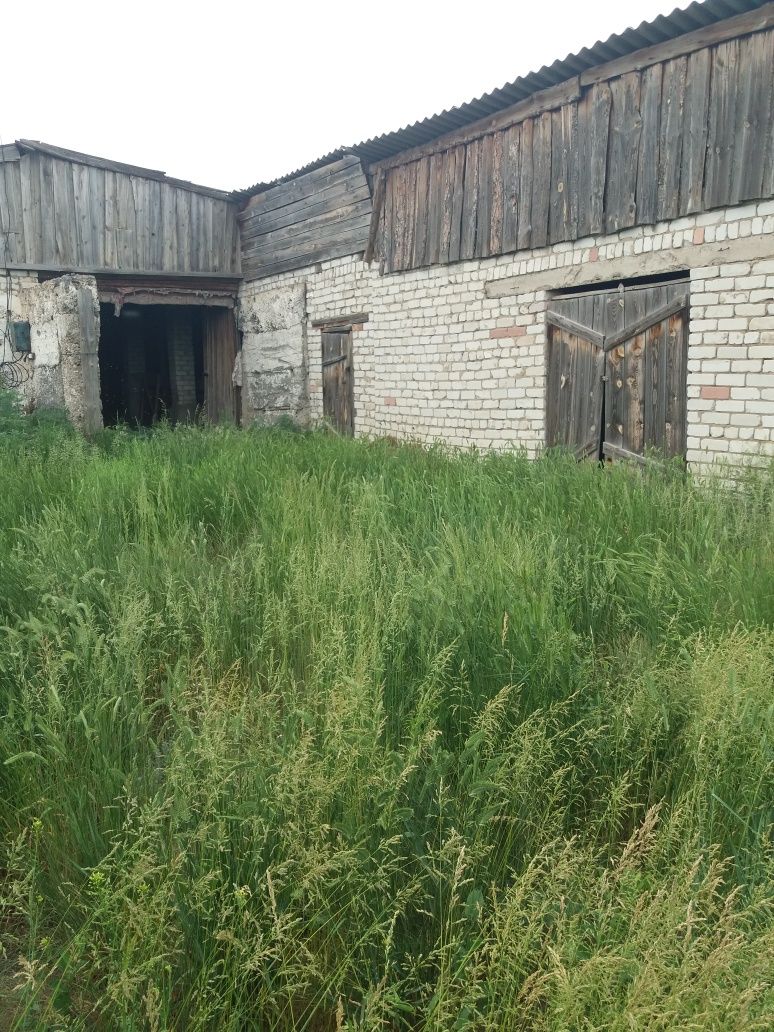 Продам базу бывшего к/х ,площадь 1.5 га ,свет 3 фазы