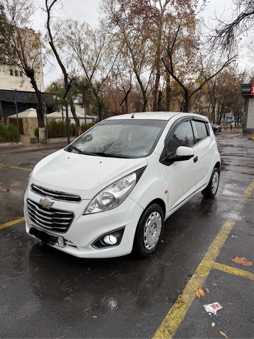 Spark MT 2010y. Gazi bor