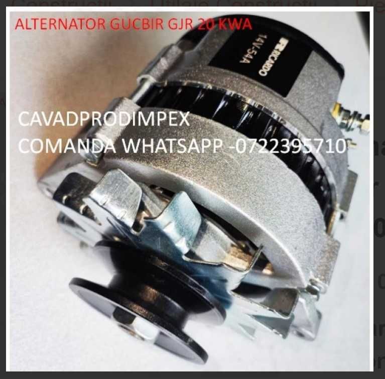 Alternator industrial Ricardo motor  GJR20