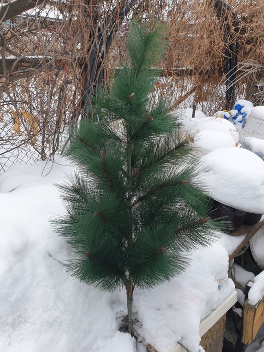 Ёлка   искусственная