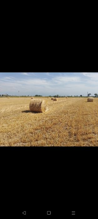 Сено салома урлон сатамын саван урлон сатамын слома урлон сатамын урло