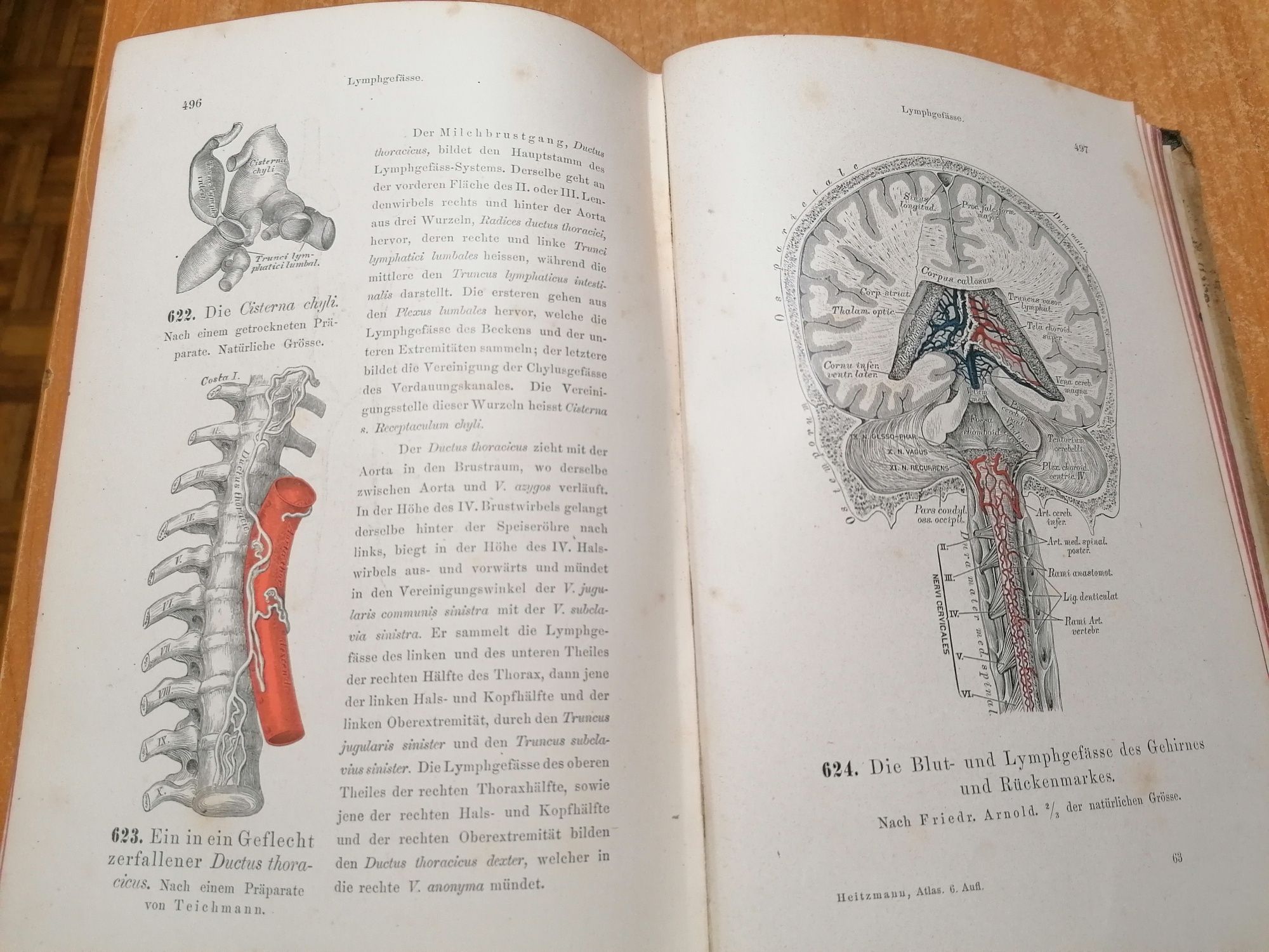 Manual de anatomie Carl Heitzmann 2 octombrie 1836 – 6 decembrie 1896