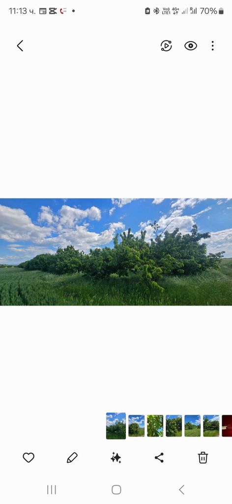 Продава се Земеделски имот в с. Говедаре, Област Пазарджик -  кв.м за 0 €/дка - Снимка #5