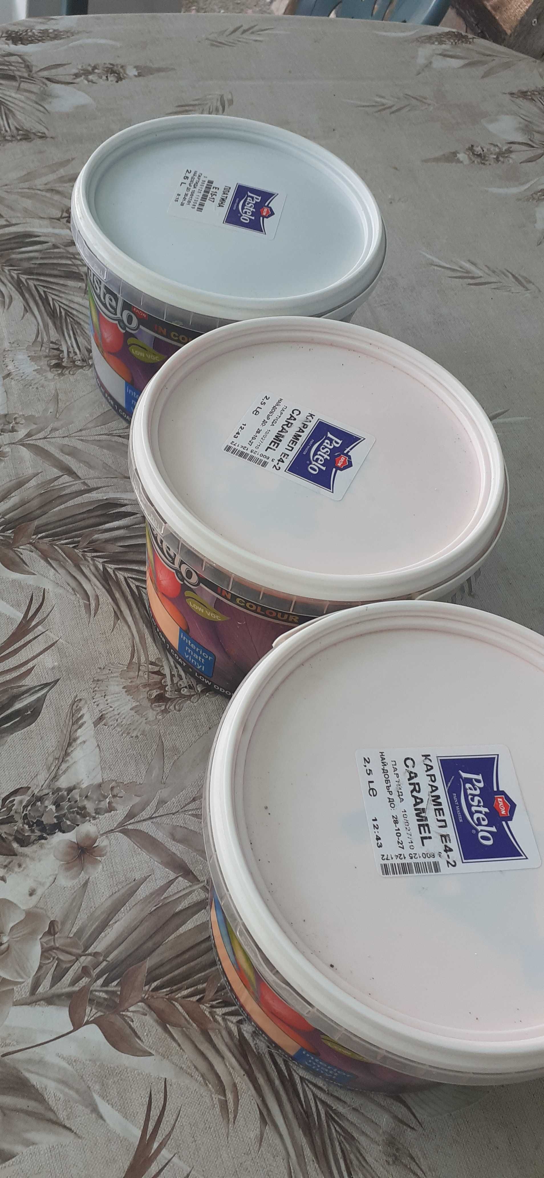 Цветен латекс Pastelo