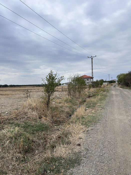 Teren intravilan de vanzare - Carligei Bucovat