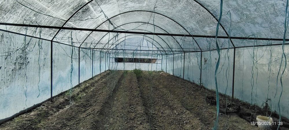 1 sotixli issiqxona (парник)sotiladi.‼️