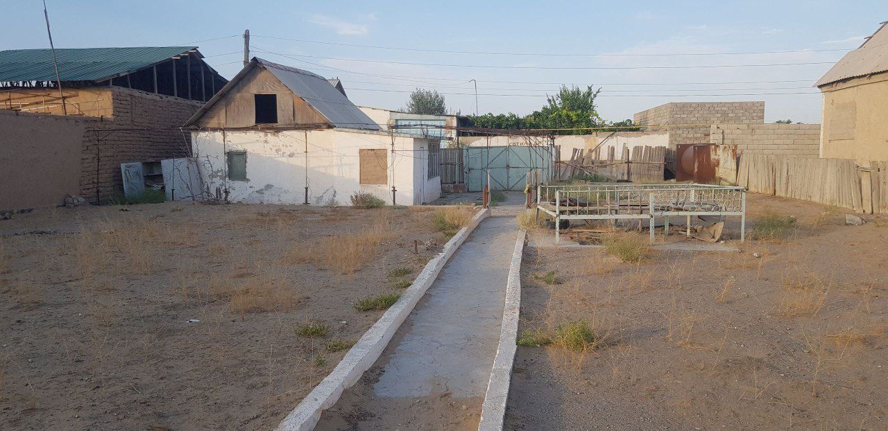 Урожайда 4 кўча 29 дача тез ва арзон сотилади