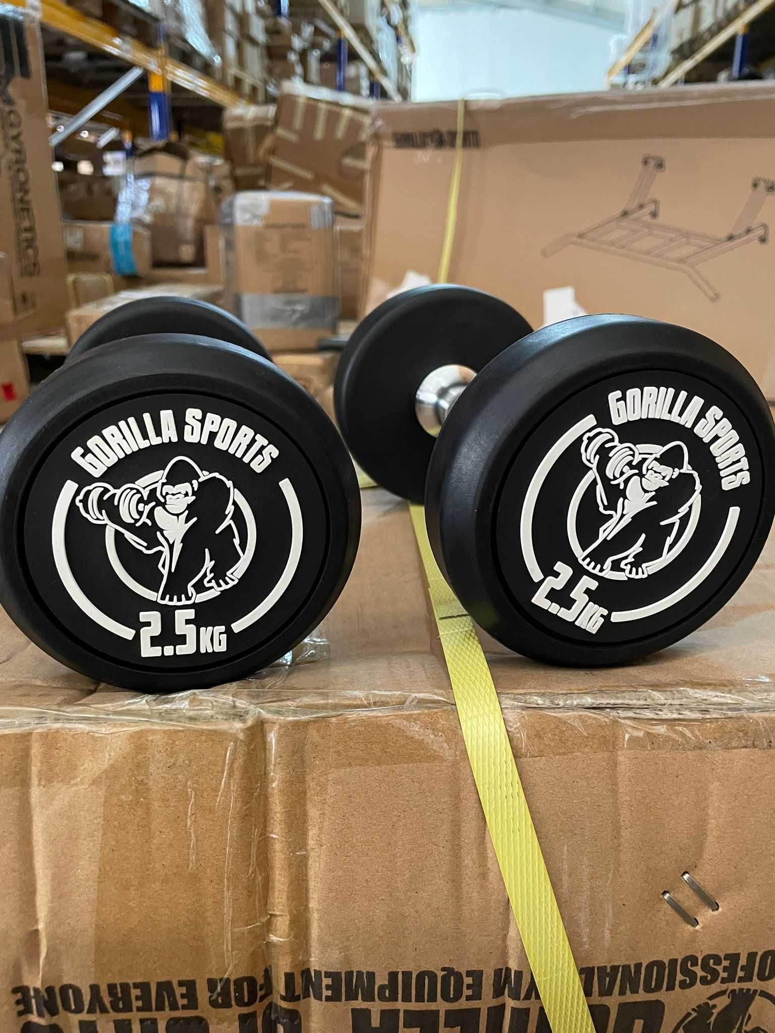 Set gantere fixe 5 kg Gorilla Sports ( 2x2,5kg )