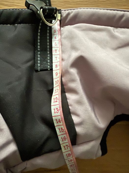 Кучешки гащеризон