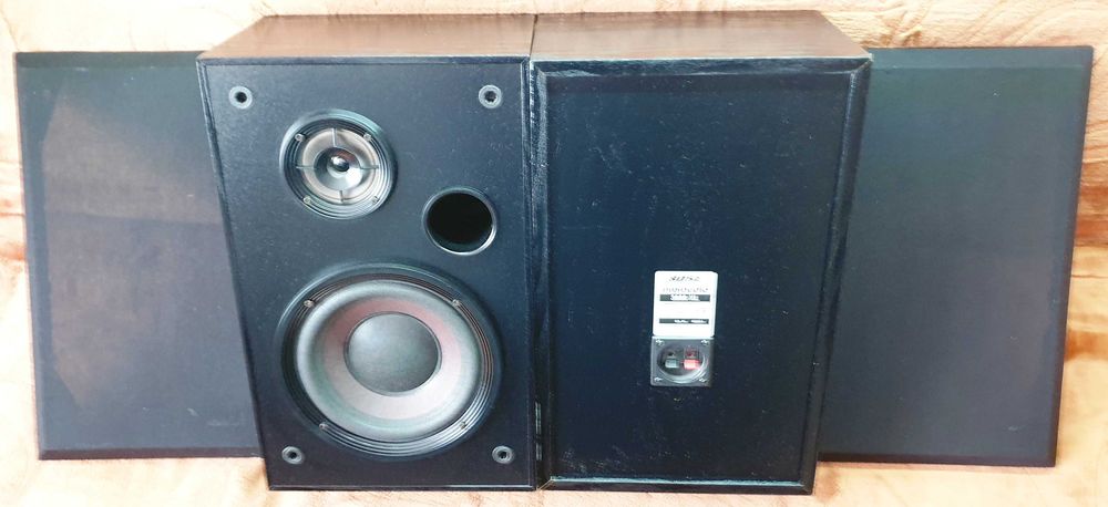 Bose Interaudio 3000XL