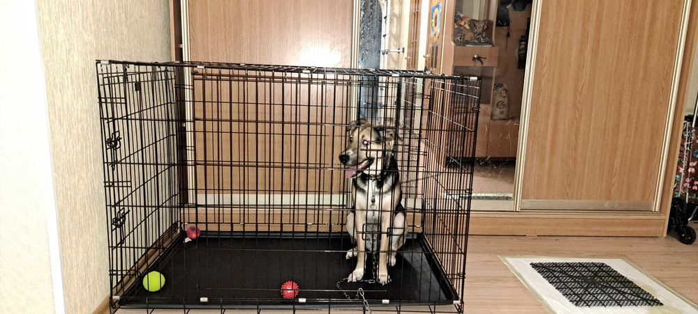 Вольер, когтеточка, поводок, лоток, намордник кошкин дом, домик-туалет