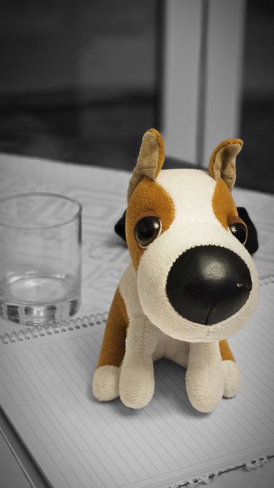 Plușuri diverse pentru copii și adulti