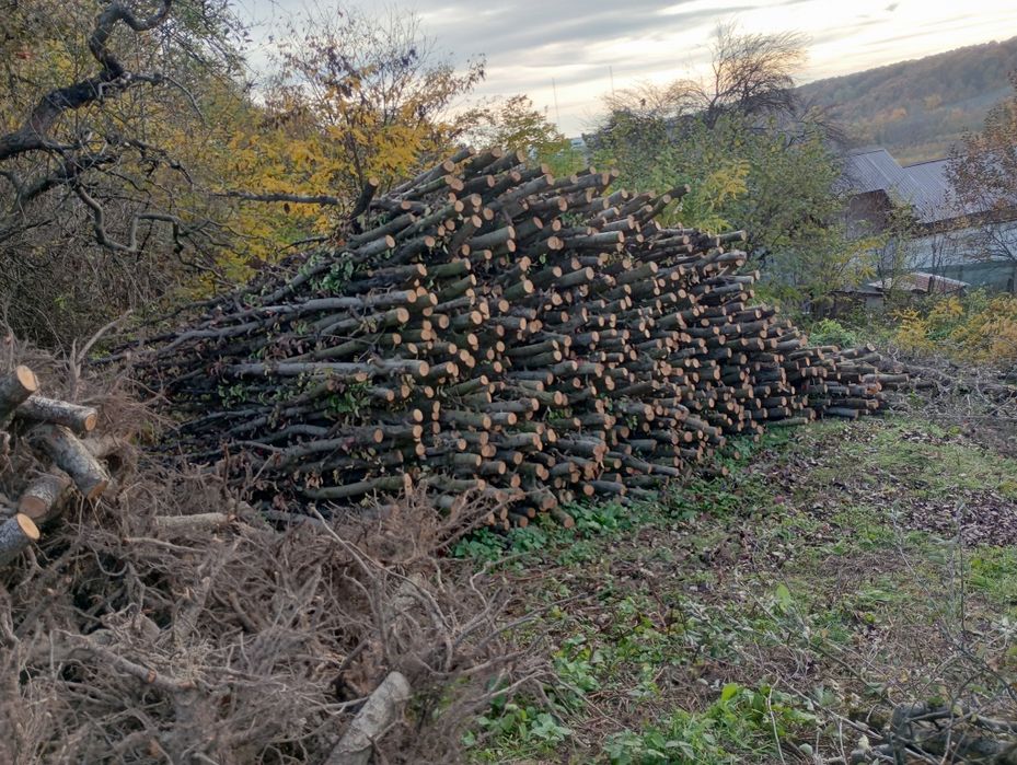 De vânzare leme de măr si  păr pentru foc!!