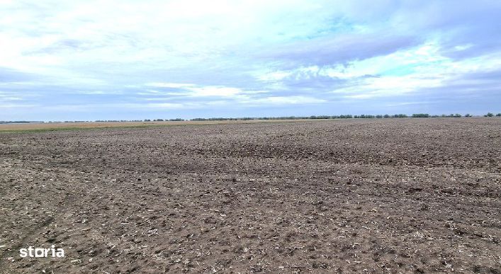 Teren extravilan, Comuna Valcele, Jud calarasi