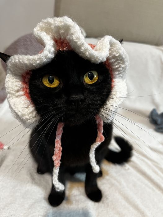 Pălărie elegantă pentru animale de companie