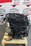 Motor Complet/Dpf/Kit Injectie/Turbo/Galerie 2.0 Tdi DET Euro 6 Audi