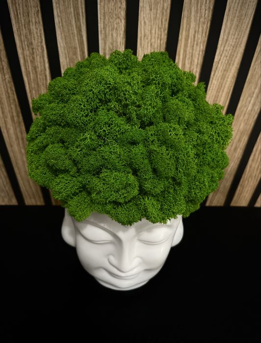 Decor natural premium din licheni stabilizați