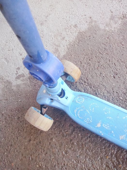 Samakat sotiladi arzon narxda!