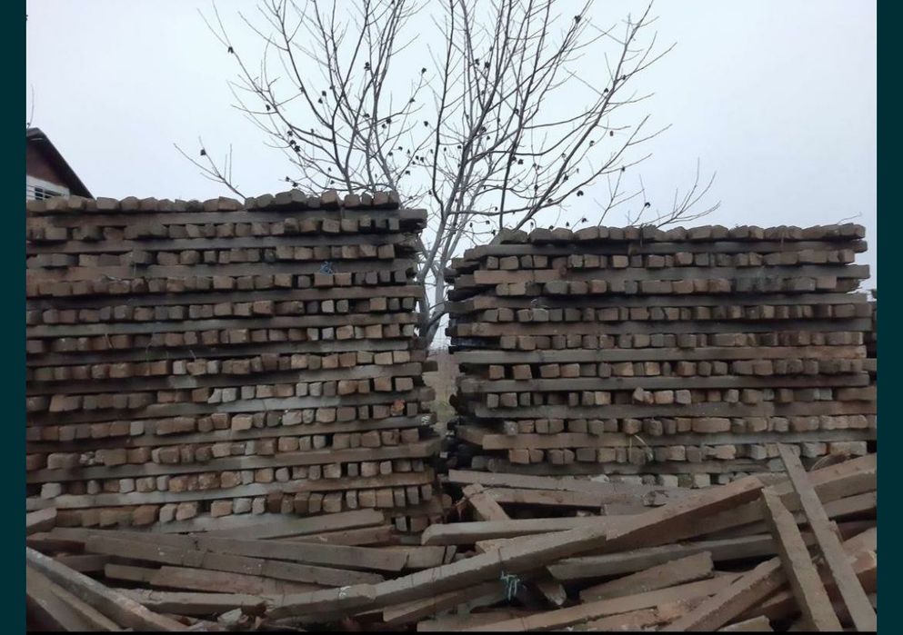 Spalier beton stâlpi de vie de gard din defrișări