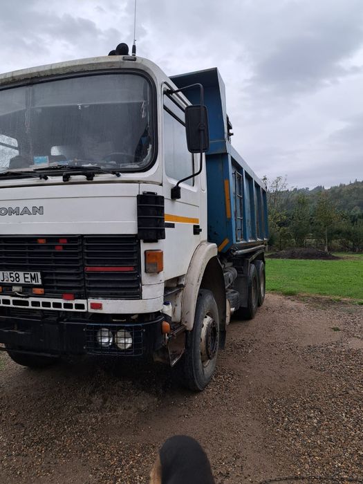 Autobasculanta Roman