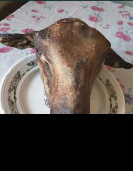 Қойдың басы үйтілген жуылған таза