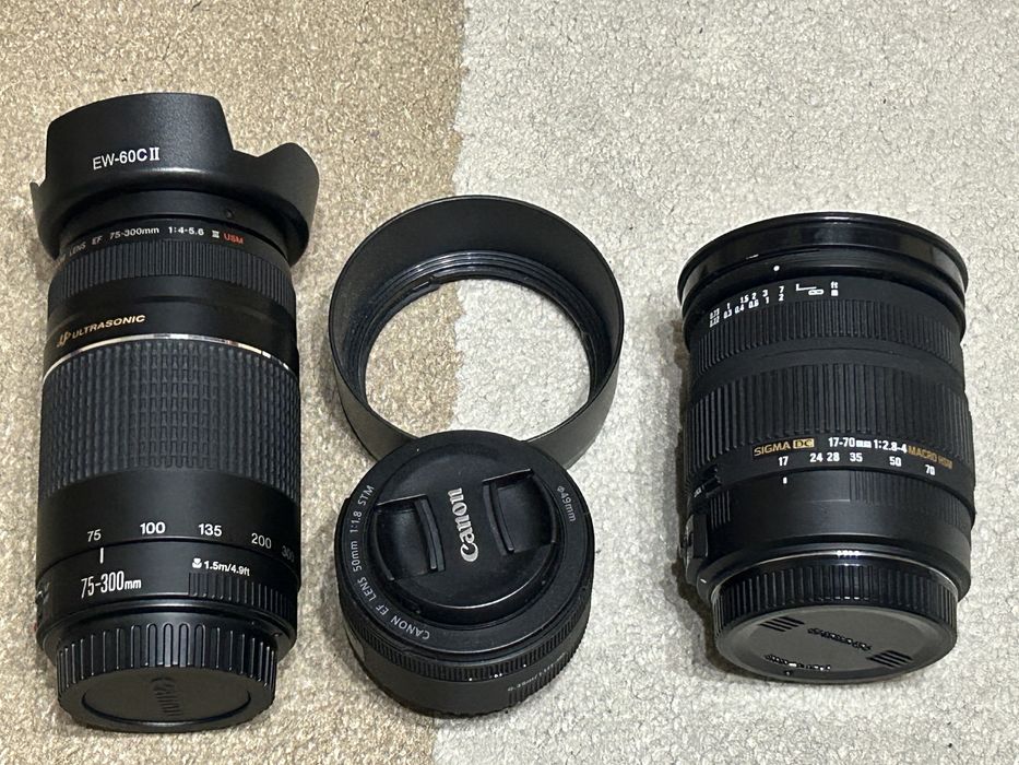 Canon 250D 11k shutters + 3 obiective + accesorii