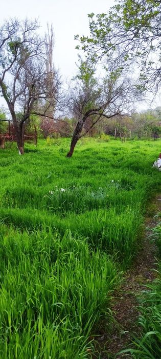 Дача сотилади Продаю свою дачу