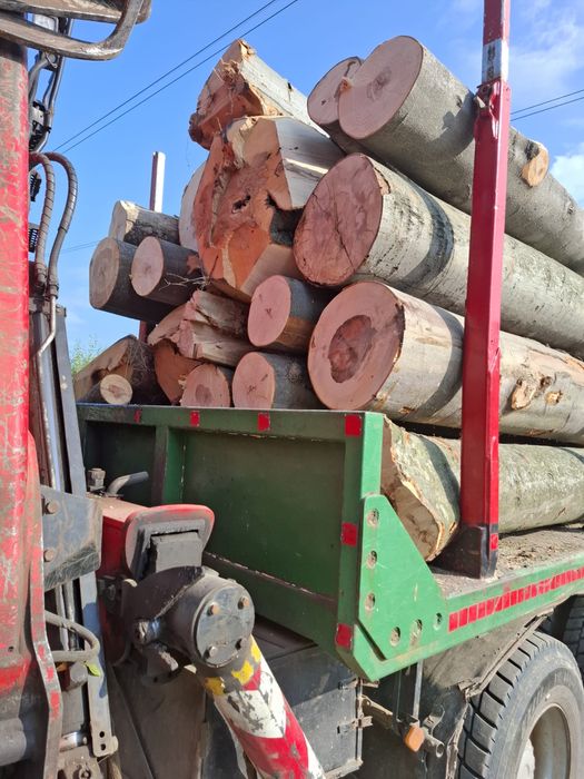 Lemn de foc - fag verde