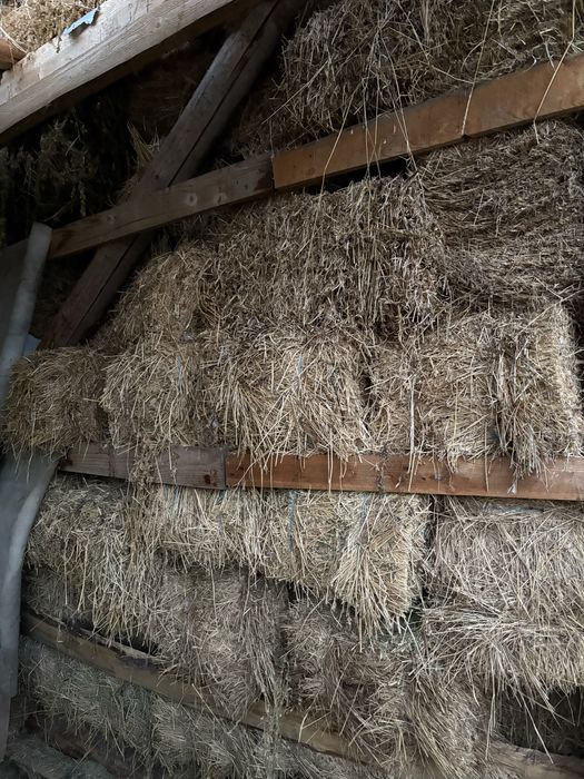 Baloti de lucerna din 2025