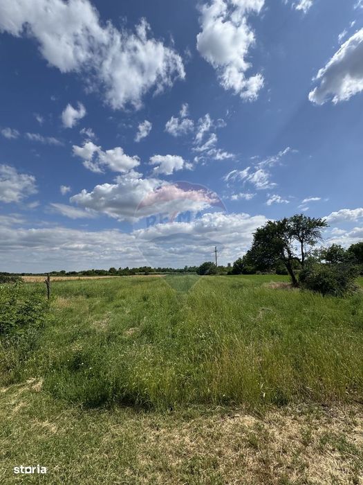 Teren Ferbinti Targ - 3.500 Mp