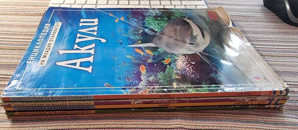 Комплект: Големи котки/Акули/Буболечки/Змии