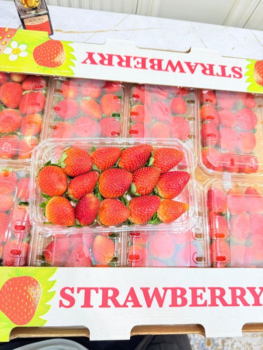 Клубника Египет 14.000