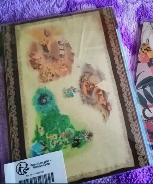 The Legend of Zelda: Skyward Sword (Nintendo Switch) + collectables