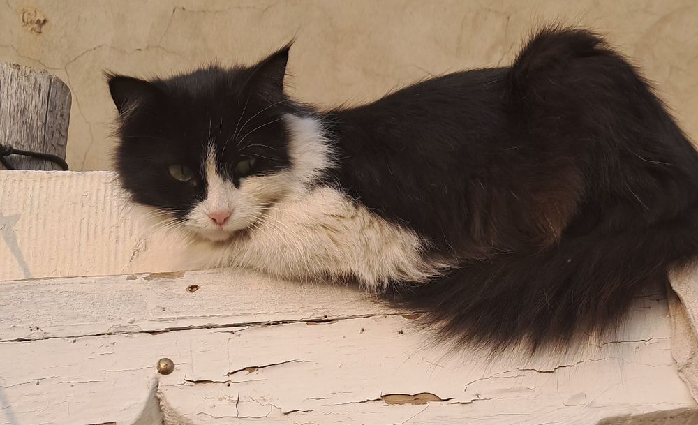 Текинга берилади. Яхши инсонга