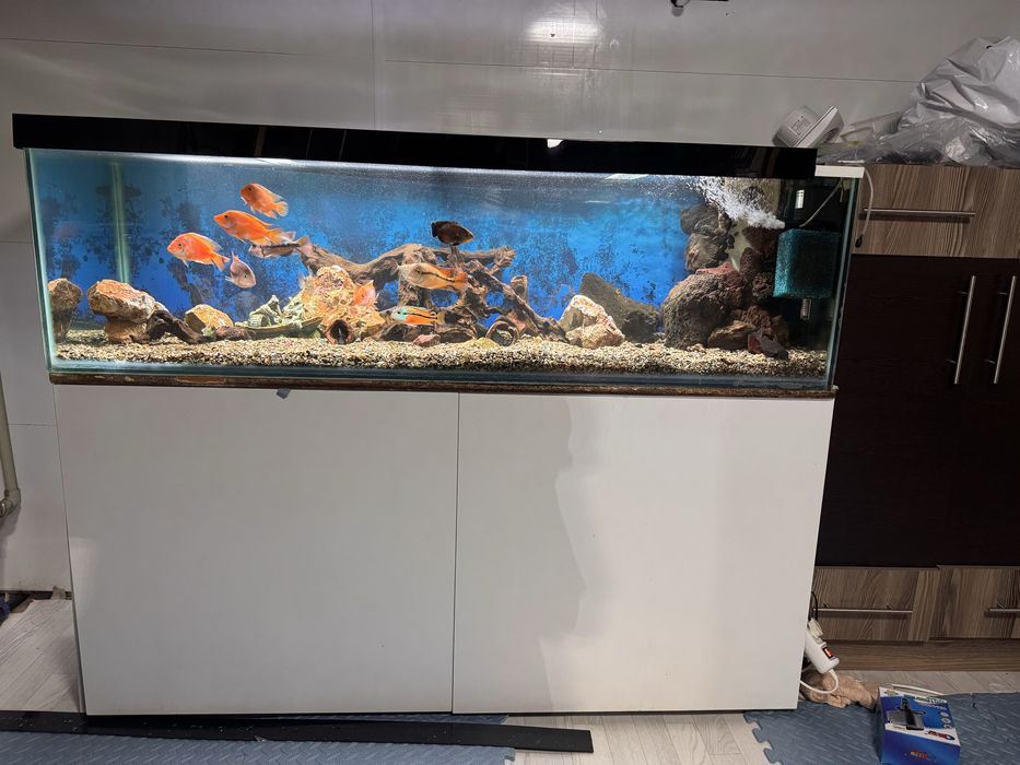 Продадим Аквариум