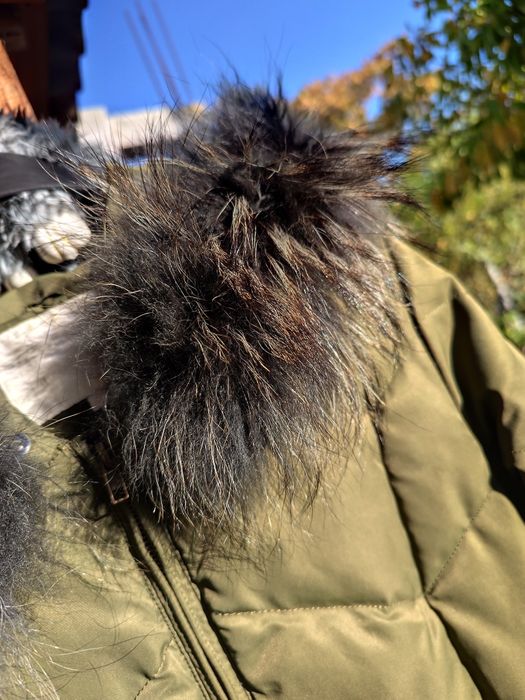 Яке на Elisabetta Franchi размер S, без забележки. Яка естествен косъм