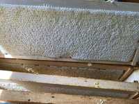 Miere de albine BIO (certificata ecologic)