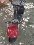 Vând scuter electric 2 persoane