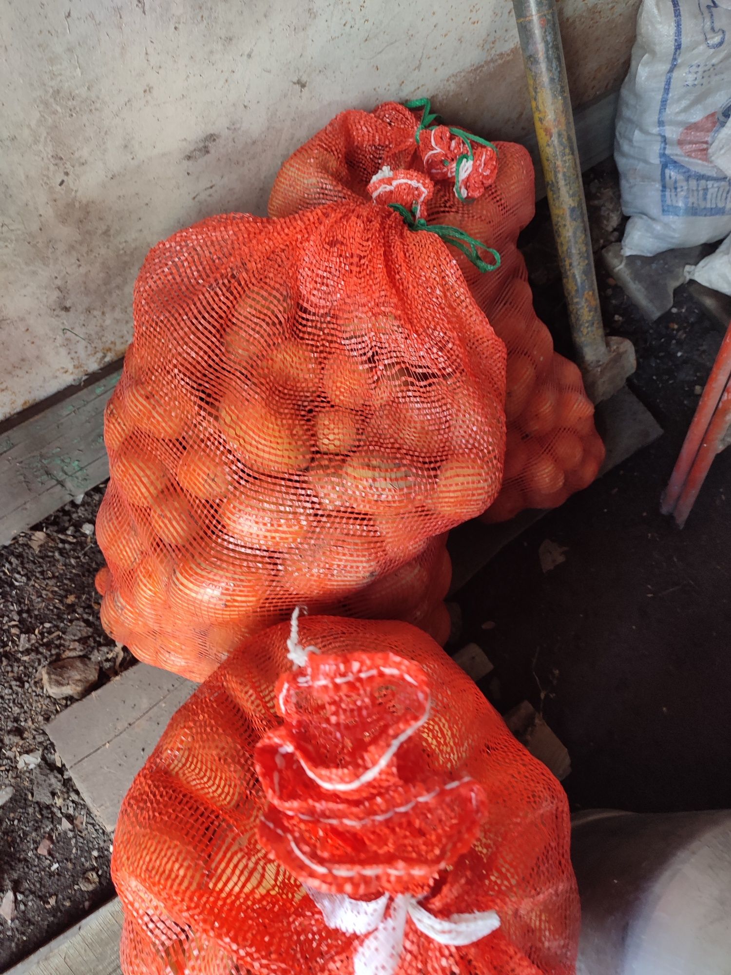 Продам картофель