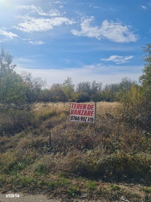 Teren intravilan Cocu Arges