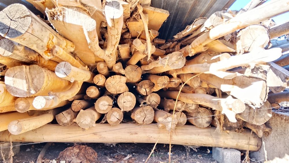 Балка, дранка, рейка, ағаштар сатылады