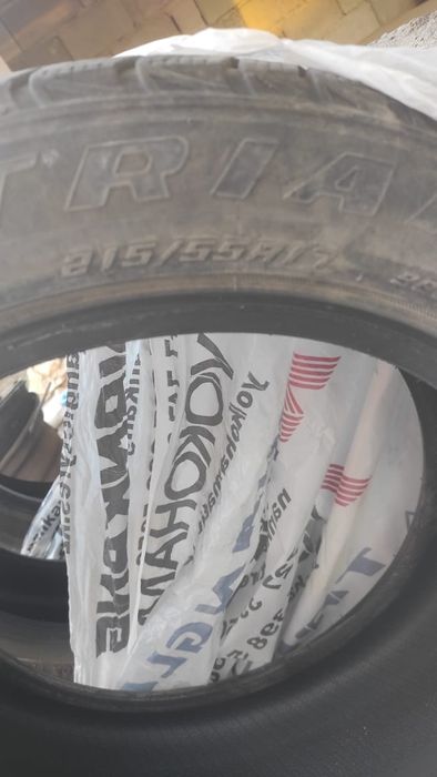 Продам шины зимние triangle