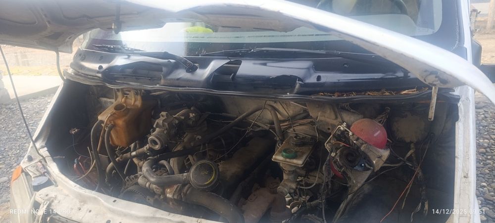 Ogandan ishga ciqib ketovuras